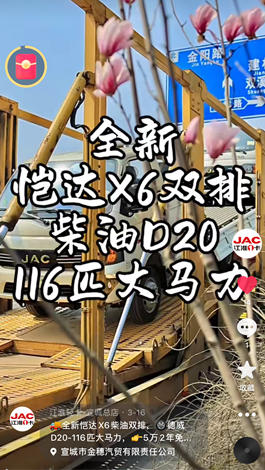 全新愷達X6柴油雙排，德威D20-116匹大馬力。